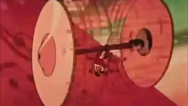flamin' groovies-when i heard your name смотреть онлайн