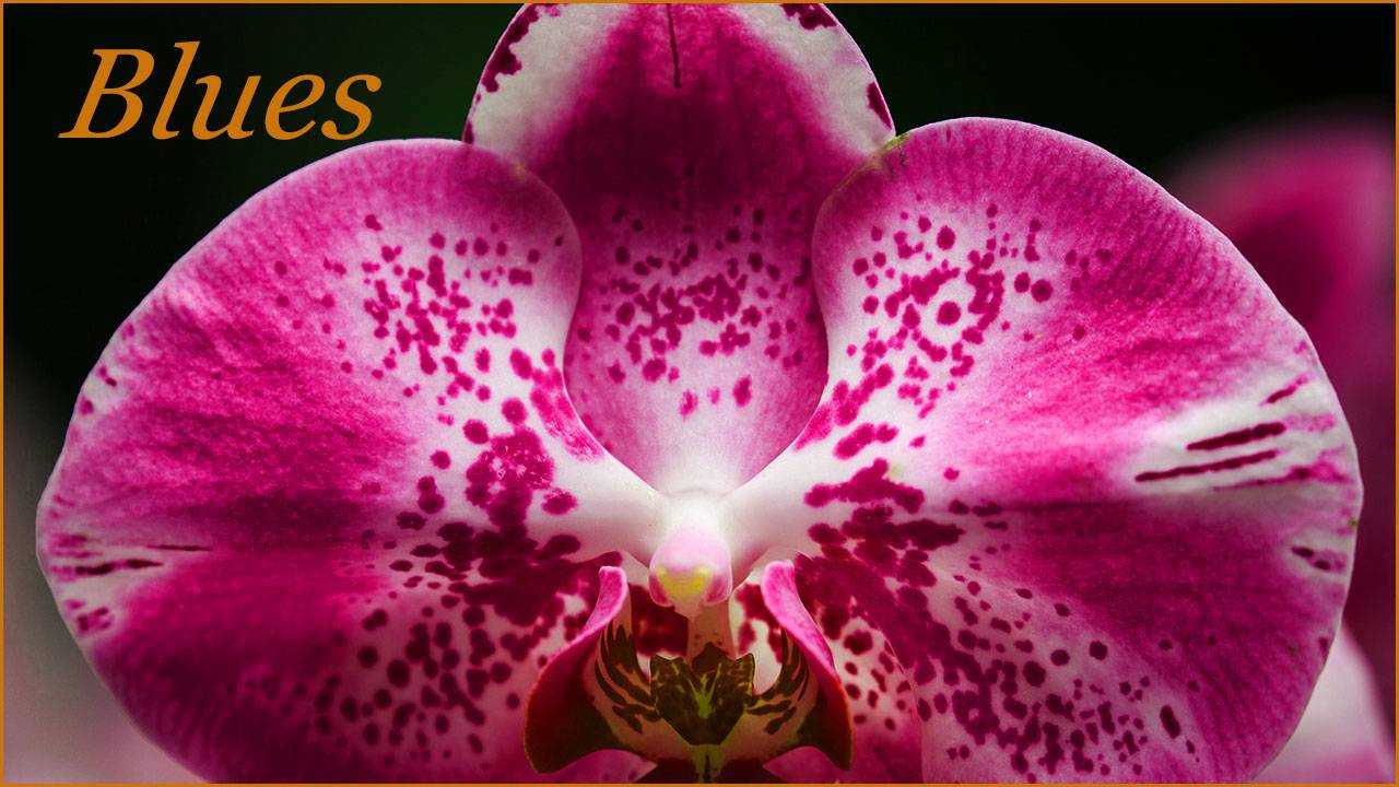 Абстрактный блюз 453. & Abstract blues. смотреть онлайн