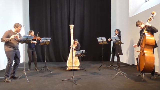 Turlough O'Carolan - Lady Wrixon смотреть онлайн