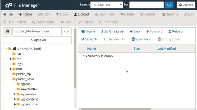 Day 3 - Part 7 : File manager | Zero to Hero | WordPress Beginner Series смотреть онлайн