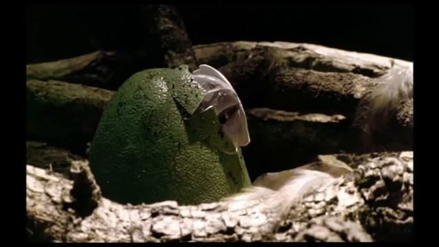 Walking With Beasts [2001] - Gastornis Screen Time смотреть онлайн