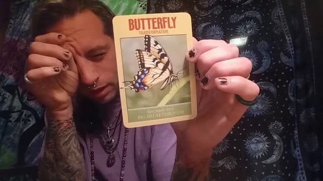 FULL MOON SPIRIT ANIMAL MESSAGES - ECLECTIC SHAMAN -LIGHT LANGUAGE - MAGICK - ORACLE смотреть онлайн