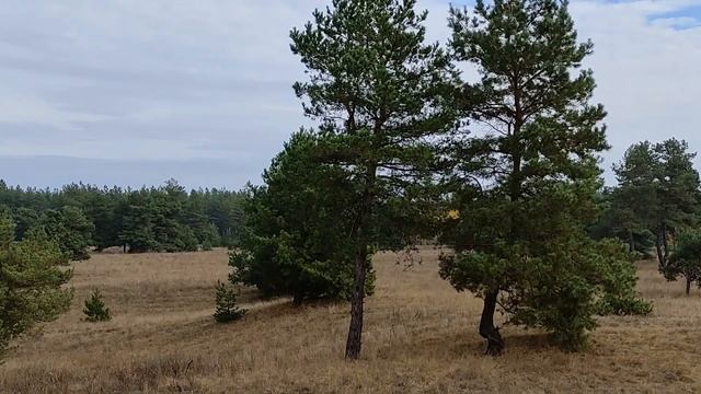17 ноября народный праздник Еремин день. Народные приметы и традиции. Запреты дня. Именинники дня. смотреть онлайн