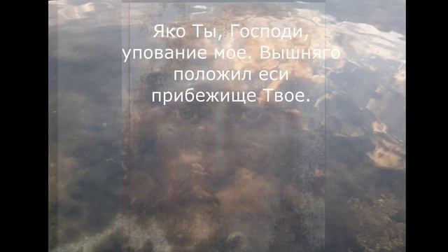 "Живый в помощи Вышняго" смотреть онлайн