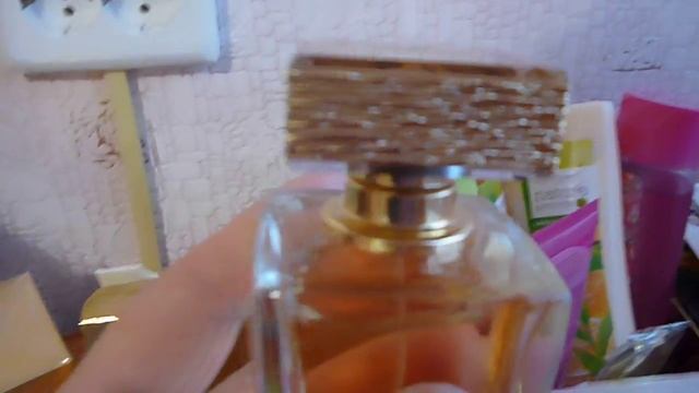 Заказ из 15 каталога смотреть онлайн