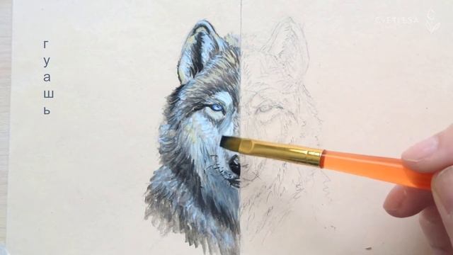 Гуашь VS Акварель | Что лучше? | Gouache VS Watercolor смотреть онлайн