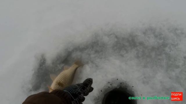 У кого-то десятый, а у нас ПЕРВЫЙ ЛËД 2023-2024. Зимний сезон открыт !!!! смотреть онлайн