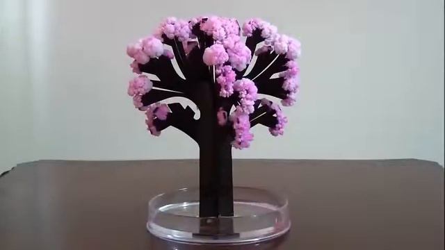Magic Growing Tree смотреть онлайн