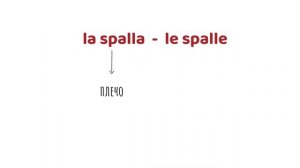 ЧАСТИ ТЕЛА на итальянском - ЛЕКСИКА - Итальянский язык с нуля