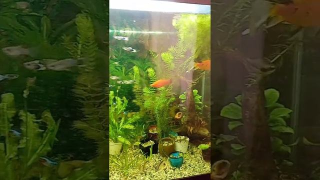 Аквас 150 литров. смотреть онлайн