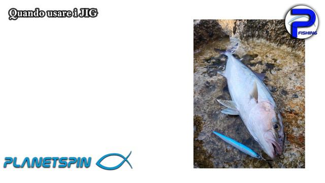 SPECIALE SHORE JIGGING - I JIG - Parte 1