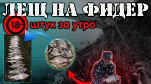 ЛОВЛЯ ЛЕЩА НА ФИДЕР | Летняя рыбалка на реке Тобол