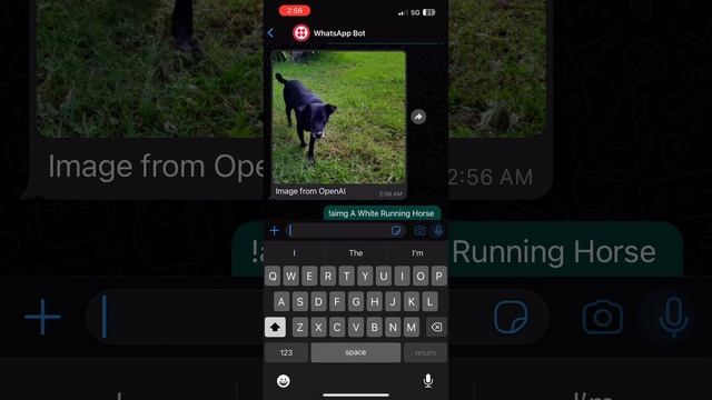 WhatsApp Bot in Python3 Flask with OpenAI Image Gen. | Twilio смотреть онлайн