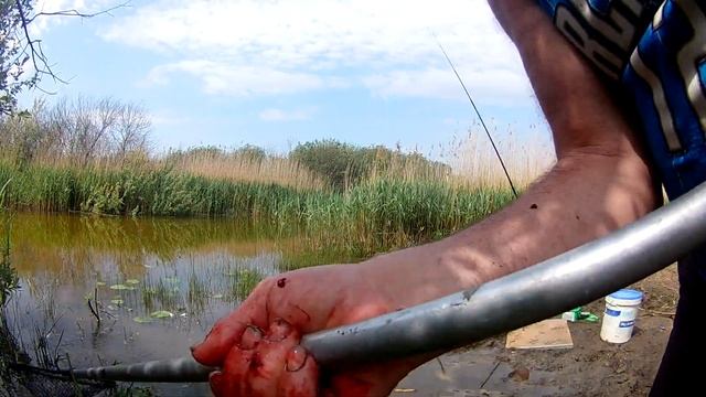 Михаил Бадисов. Рыбалка+. Ломаем леща. смотреть онлайн