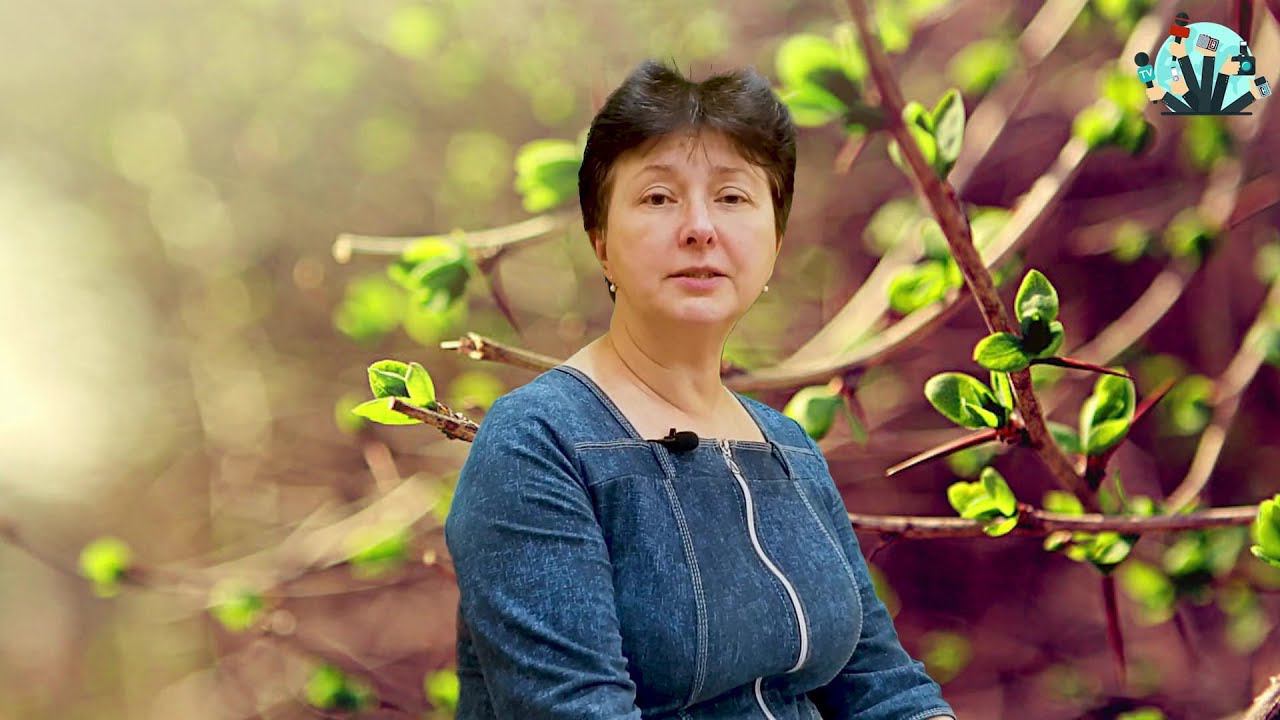 Районная учеба журналистов. Блиц-опрос смотреть онлайн