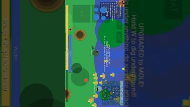 Игра мопи ио смотреть онлайн