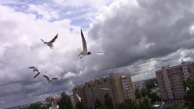 ДОМАШНИЙ ВЛОГ Часть 1 /Что сейчас смотрю/Запасы/ КОСМЕТИКА EMVY смотреть онлайн