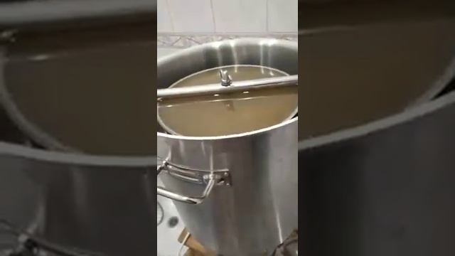 Солод Rite hand craft pilsner. смотреть онлайн