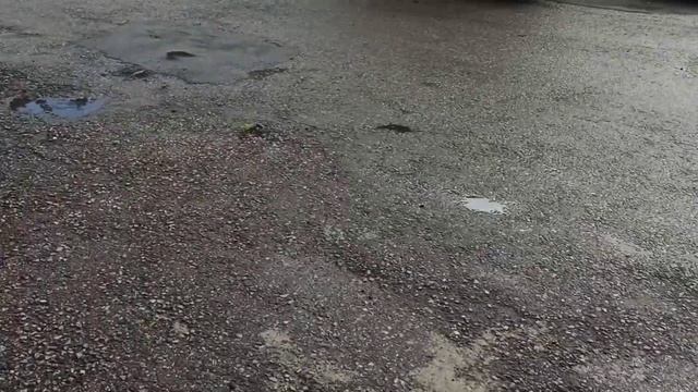 White Siberia Mini 1200x2 (2WD)