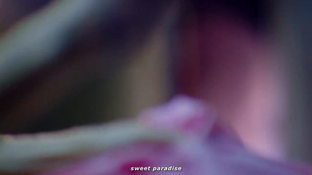 Charli XCX - Secret (Shh) [Scream Queens / traducida al español] смотреть онлайн