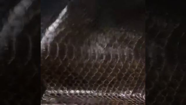 Кожа питона смотреть онлайн