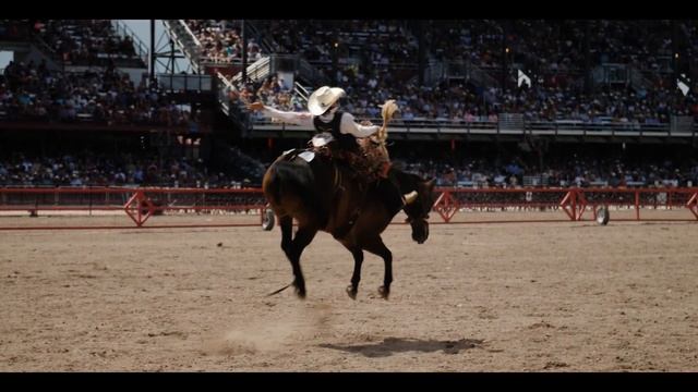 The Oldest Event in Rodeo смотреть онлайн