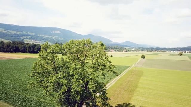 #релакс #музыка #relax music Красивая Музыка Для Сна, Очень Нежная! Медитация. Relax. смотреть онлайн