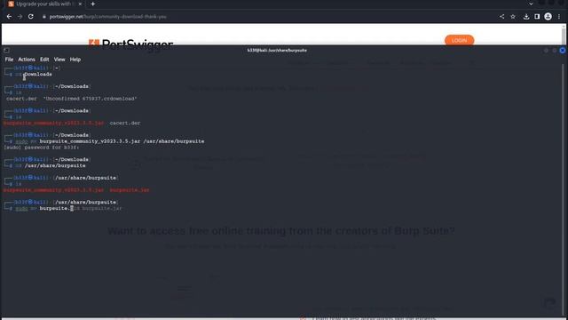 How to update Burp Suite Kali Linux 2023 смотреть онлайн