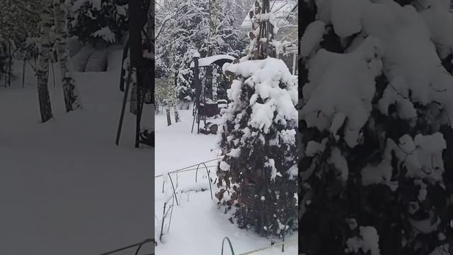Снег на даче 21 .11.20г.