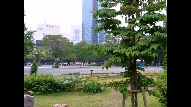 Прекрасная и загадочная столица Японии - Токио