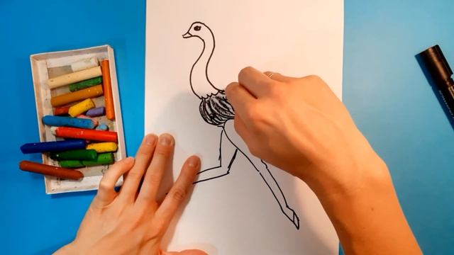 Как нарисовать СТРАУСА. Рисуем с детьми экзотических птиц. How to draw an OSTRICH. смотреть онлайн