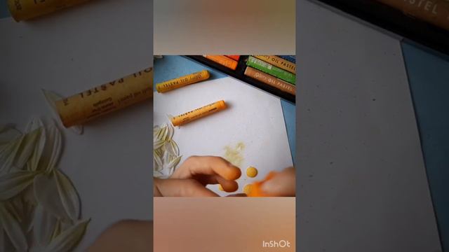 Сборка цветка ромашки смотреть онлайн