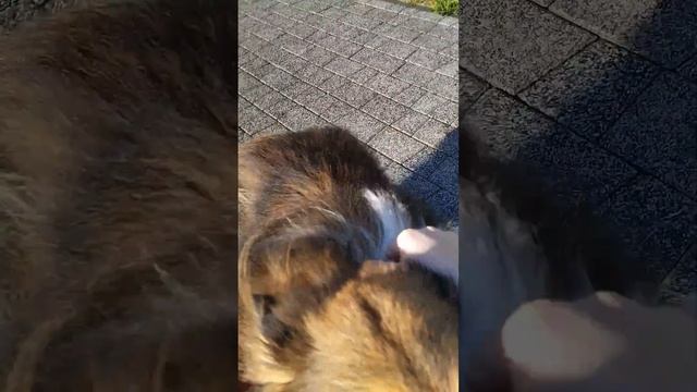 рассказываем всякие истории с моим другом