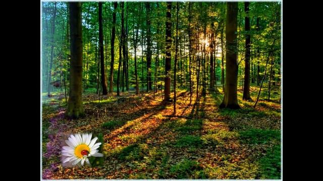 Богатства Селигерского края