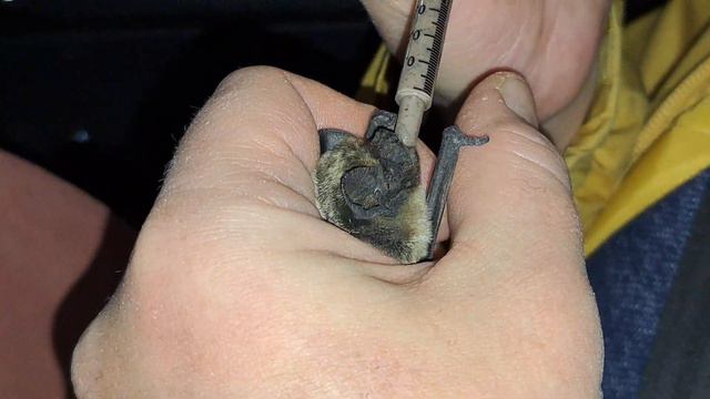 Балашиха. Маленький рабочий кусочек смотреть онлайн