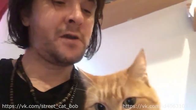 Джеймс и Боб поздравляют с новым 2017 годом! смотреть онлайн