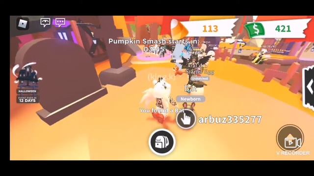 Что дают за коробку с летучими мышами? В Adopt me. Roblox. смотреть онлайн