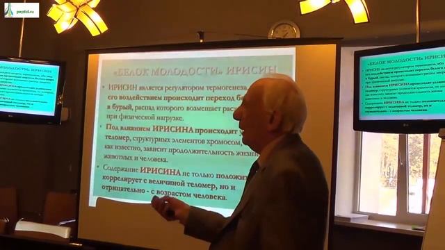 92 летний ученый о пептидных биорегуляторах Хавинсона смотреть онлайн