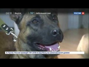Управление ФСИН Якутии приняло на работу клонов