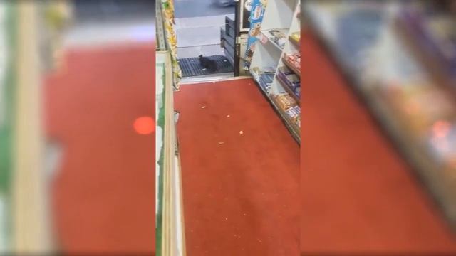 Когда любишь сладкое больше жизни Крошка Белка смотреть онлайн