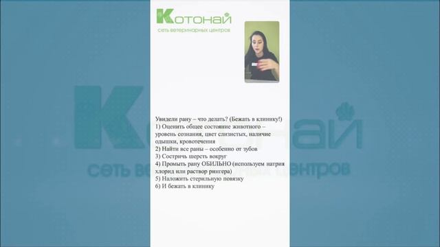 Как обработать рану питомца дома смотреть онлайн