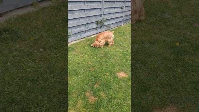 Процесс охоты запущен... 🐁☺️