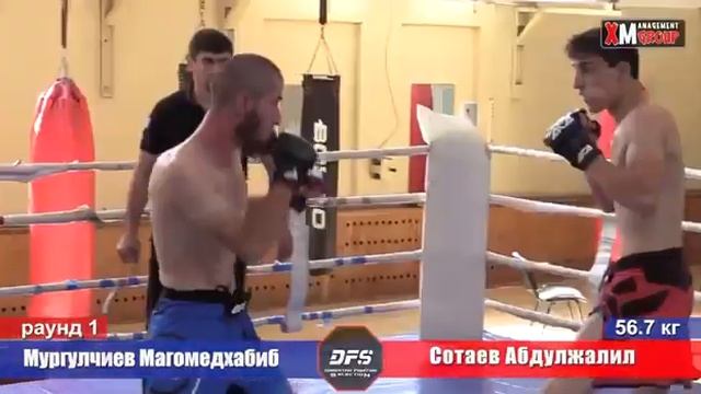 Хайлайт боя Мургулчиев Магомедхабиб Сотаев Абдулжалил