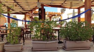 Sharm Plaza 5*. Правда ли всё так ПЛОХО!? Самый полный обзор отеля. Египет. Шарм эль Шейх.