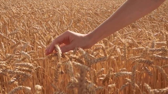 ПРОЩЕНИЕ. КАК ПРОСТИТЬ. НАСТРОЙ НА ПРОЩЕНИЕ (практика для женщин) #настройнадень смотреть онлайн