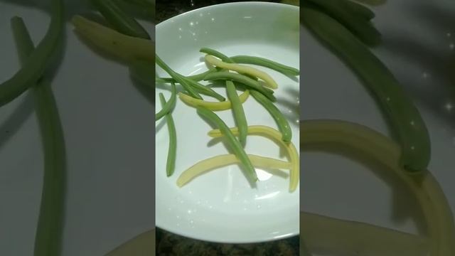 Стручковая фасоль