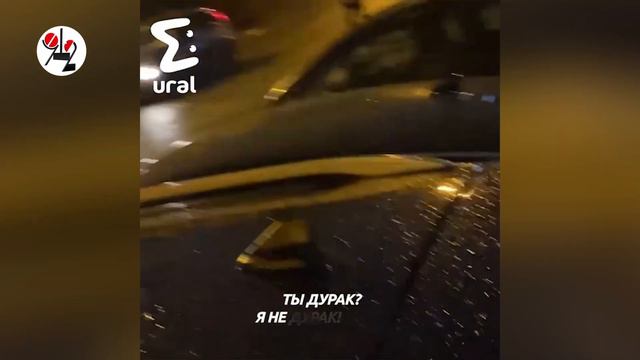 Отважный лев бросается на машину. Real Video смотреть онлайн