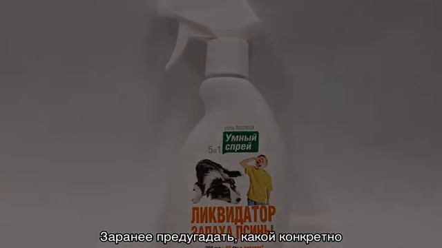 Советы для владельцев кошек и собак