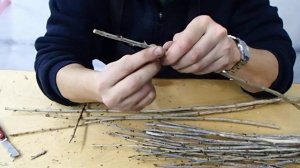 как самому сделать штамбовый крыжовник, простой способ прививки крыжовника и смородины