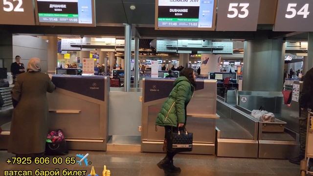 Аэропорт внуково 14.02.2023г Багаж ✈️✈️???? смотреть онлайн